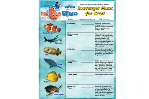 Finding Nemo Hunt
