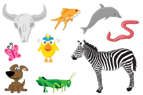 Vector Animals